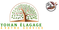couverture-yohan-elagage